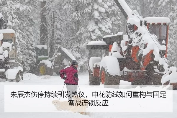 朱辰杰伤停持续引发热议，申花防线如何重构与国足备战连锁反应